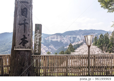 吉野山の千本桜 一目千本桜 日本一の花見名所 吉水神社 世界遺産の観光地 奈良観光スポット 吉野山の千本桜 一目千本桜 日本一の花見名所 吉水神社 世界遺産の観光地 奈良観光スポット 96199969