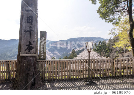 吉水 神社 一目 コレクション 千本