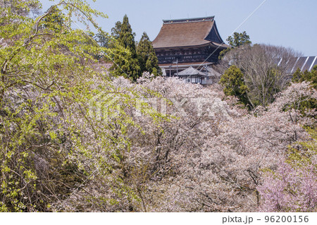 吉野山の千本桜 金峯山寺と桜 日本一の花見名所 世界遺産の観光地 奈良観光スポット 吉野山の千本桜 金峯山寺と桜 日本一の花見名所 世界遺産の観光地 奈良観光スポット 96200156