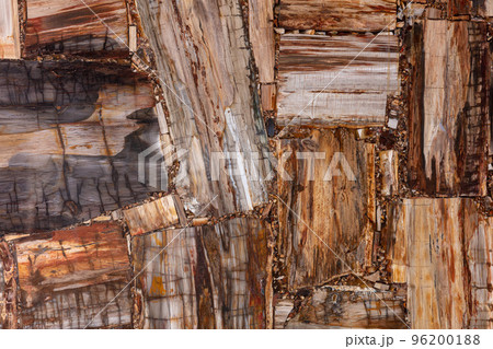 Petrified wood texture. Semi precious pattern. Exclusive luxury gemstone background. Material for unique interior, exterior design decoration. Brown luxury matt mineral texture. Petrified wood texture. Semi precious pattern. Exclusive luxury gemstone background. Material for unique interior, exterior design decoration. Brown luxury matt mineral texture. 96200188