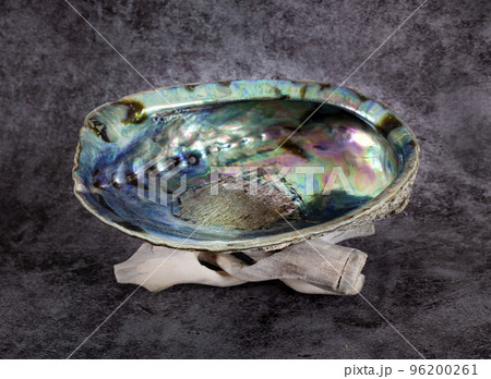 sage, palo santo and abalone sage, palo santo and abalone 96200261