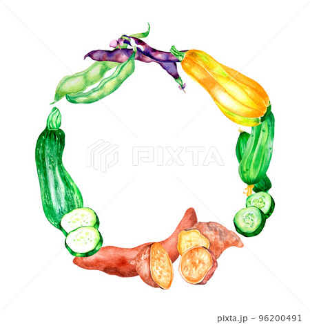 Variety of vegetables frame watercolor illustration isolated. 96200491