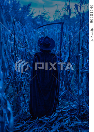 Plague doctor or death woman with sharp scythe at night in thickets of corn field. Creepy raven mask 96201546