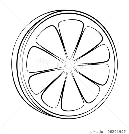 A slice of lemon with a thin line. Vector on a white background A slice of lemon with a thin line. Vector on a white background 96201996