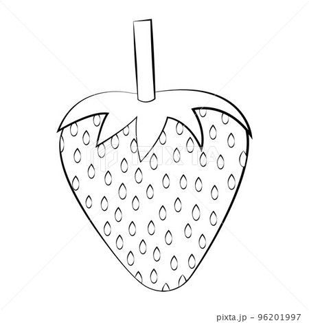 Strawberries in a thin line. Vector on a white background 96201997
