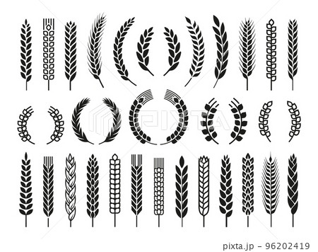 Wheat barley ears, oat isolated frames and wreaths. Grains graphic, rice or malt icons. Gluten pictogram, cereal silhouettes tidy vector set, agriculture symbols 96202419