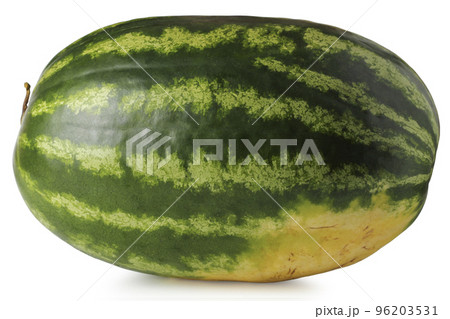 Big watermelon 96203531
