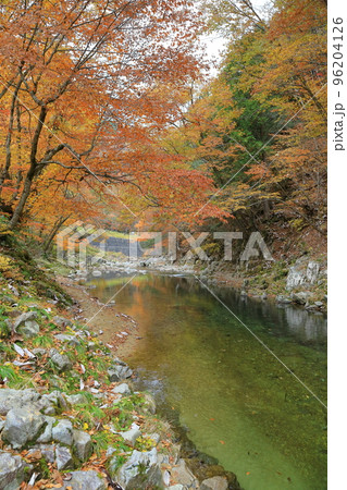 飛騨せせらぎ街道の秋 96204126