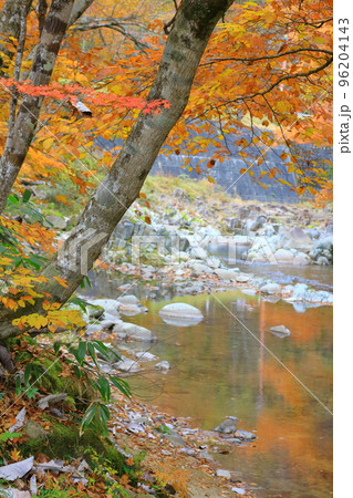 飛騨せせらぎ街道の秋 飛騨せせらぎ街道の秋 96204143