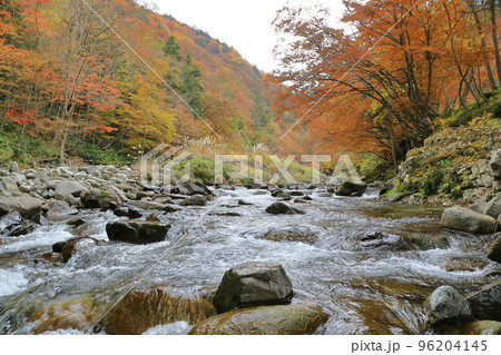 飛騨せせらぎ街道の秋 96204145