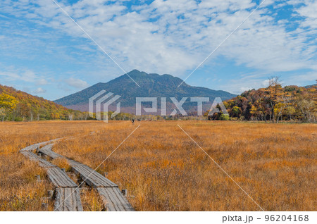 燃える秋 紅葉に色づく尾瀬 燃える秋 紅葉に色づく尾瀬 96204168