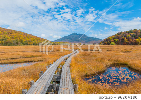 燃える秋 紅葉に色づく尾瀬 燃える秋 紅葉に色づく尾瀬 96204180