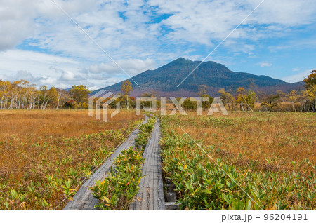 燃える秋　紅葉に色づく尾瀬 96204191