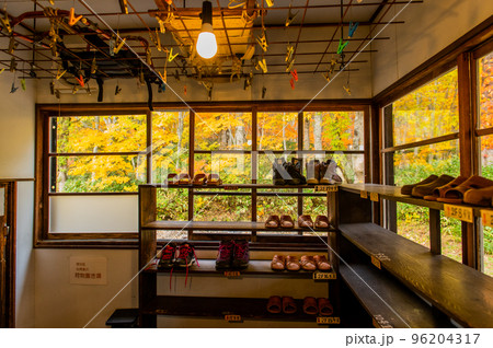 燃える秋　紅葉に色づく尾瀬 96204317