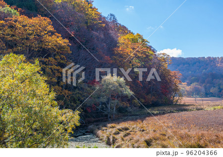 燃える秋 紅葉に色づく尾瀬 燃える秋 紅葉に色づく尾瀬 96204366
