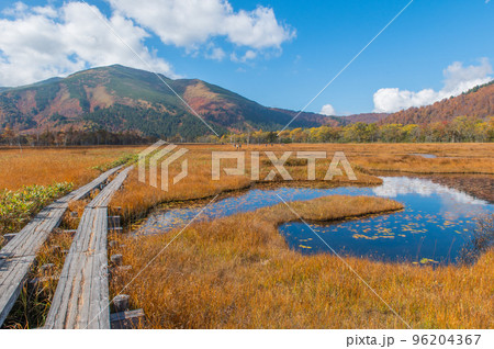 燃える秋 紅葉に色づく尾瀬 燃える秋 紅葉に色づく尾瀬 96204367