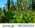 Green juicy palm trees against a beautiful blue sky. Paradise Island Bali 96204424