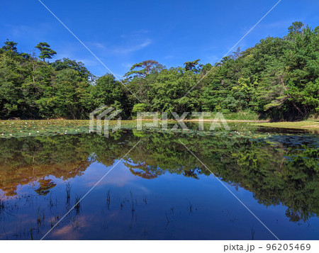 山の中の池② 96205469