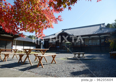 即成院 紅葉と本堂 京都市東山区泉涌寺 即成院 紅葉と本堂 京都市東山区泉涌寺 96205604