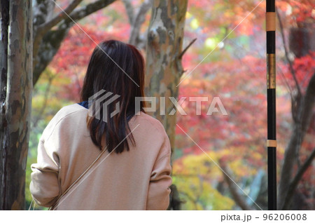 瑞宝寺公園 96206008