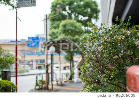 目白通り/東京都新宿区 目白通り/東京都新宿区 96206009