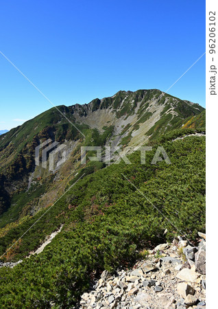 南アルプス仙丈ヶ岳の秋 96206102