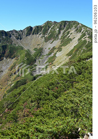 南アルプス仙丈ヶ岳の秋 96206103