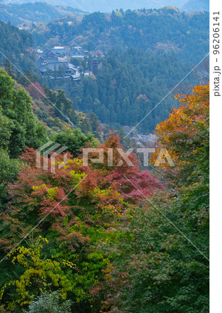 身延山久遠寺の松樹庵の紅葉 身延山久遠寺の松樹庵の紅葉 96206141