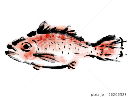 のどぐろの和風手描きイラスト のどぐろの和風手描きイラスト 96206523