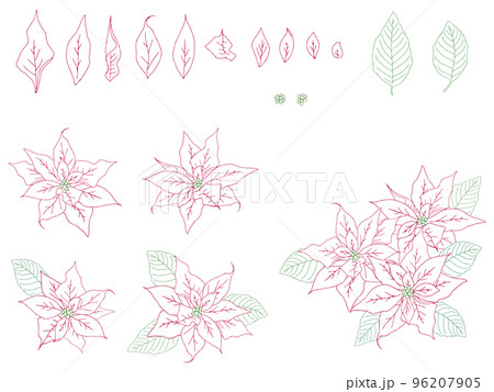 ポインセチアのイラストセット(カラー線画) 96207905