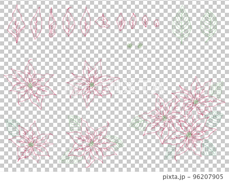 ポインセチアのイラストセット(カラー線画) 96207905