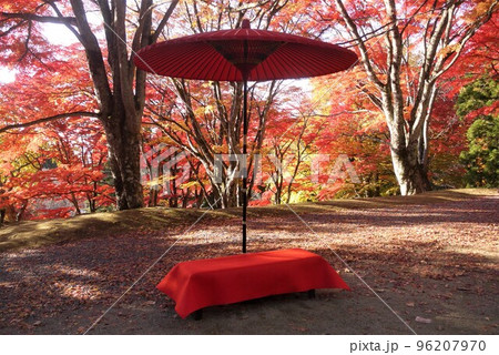 紅葉と赤い野点傘 96207970