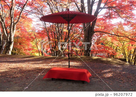 紅葉と赤い野点傘 96207972