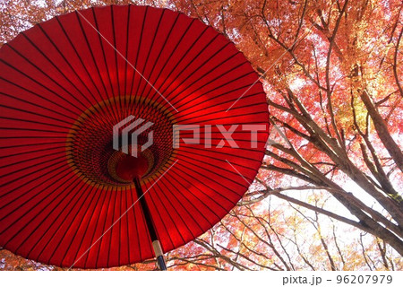 紅葉と赤い野点傘 96207979