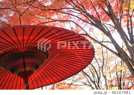 紅葉と赤い野点傘 紅葉と赤い野点傘 96207981