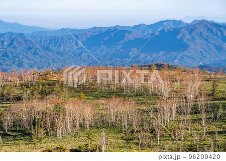 志賀草津高原ルート 青葉山に広がる林と眼下の山並み 10月下旬 c-1 志賀草津高原ルート 青葉山に広がる林と眼下の山並み 10月下旬 c-1 96209420