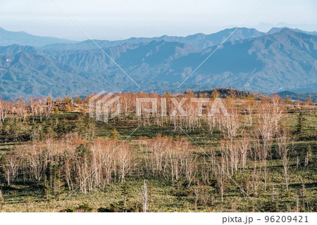 志賀草津高原ルート 青葉山に広がる林と眼下の山並み 10月下旬 c-2 クールカラー 志賀草津高原ルート 青葉山に広がる林と眼下の山並み 10月下旬 c-2 クールカラー 96209421