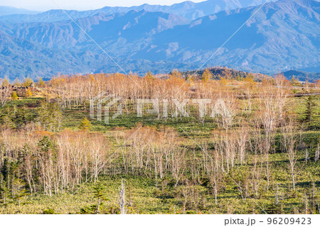志賀草津高原ルート 青葉山に広がる林と眼下の山並み 10月下旬　d-1  96209423