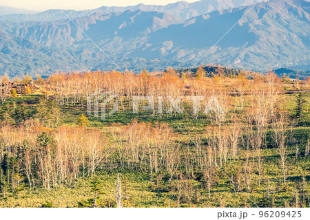 志賀草津高原ルート 青葉山に広がる林と眼下の山並み 10月下旬 d-3 暖色寒色強調 志賀草津高原ルート 青葉山に広がる林と眼下の山並み 10月下旬 d-3 暖色寒色強調 96209425