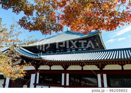 東大寺大仏殿周辺の紅葉　南側から見た回廊越しの大仏殿と縁どる紅葉 96209802