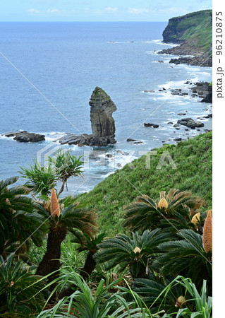 与那国島・立神岩 96210875