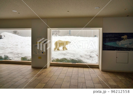 札幌市円山動物園 ホッキョクグマ館 札幌市円山動物園 ホッキョクグマ館 96212558