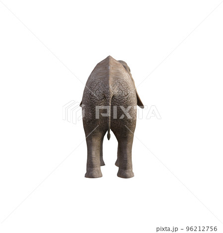Illustration of an elephant in different poses and angles for collage or clip art. Pose number 1 isolated on white background. 3D rendering illustration. Illustration of an elephant in different poses and angles for collage or clip art. Pose number 1 isolated on white background. 3D rendering illustration. 96212756