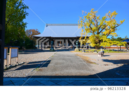 勝興寺 本堂 実らずの銀杏 高岡市 勝興寺 本堂 実らずの銀杏 高岡市 96213328