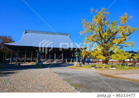 勝興寺　国宝　本堂　実らずの銀杏　高岡市 96213477