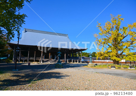 勝興寺　国宝　本堂　実らずの銀杏　高岡市 96213480
