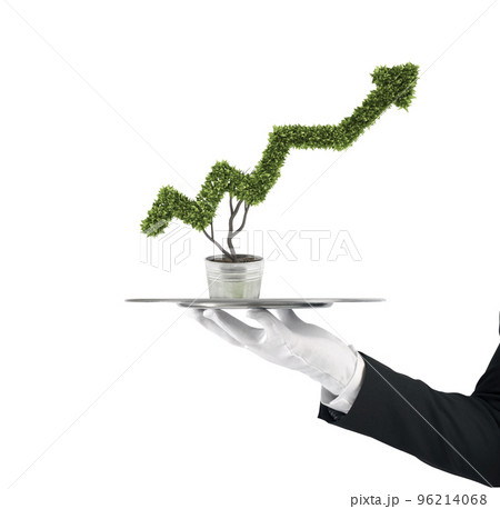Waiter that holds a tray with a plant shaped as statistic arrow. Concept business success 96214068