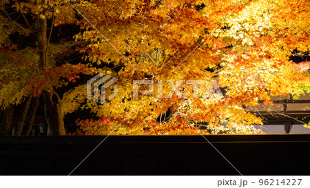 美しい紅葉 夜の角館武家屋敷 岩橋家のライトアップ 美しい紅葉 夜の角館武家屋敷 岩橋家のライトアップ 96214227