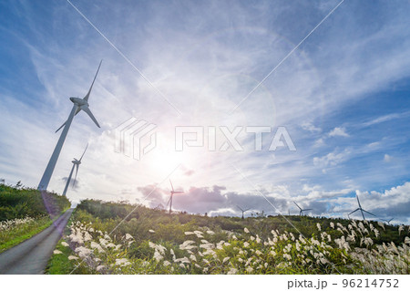 郡山布引風の高原　日本最大級の風力発電所　逆光 96214752