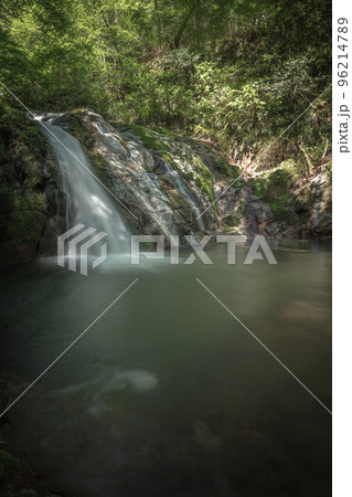 茨城県 花貫渓谷 新緑 茨城県 花貫渓谷 新緑 96214789